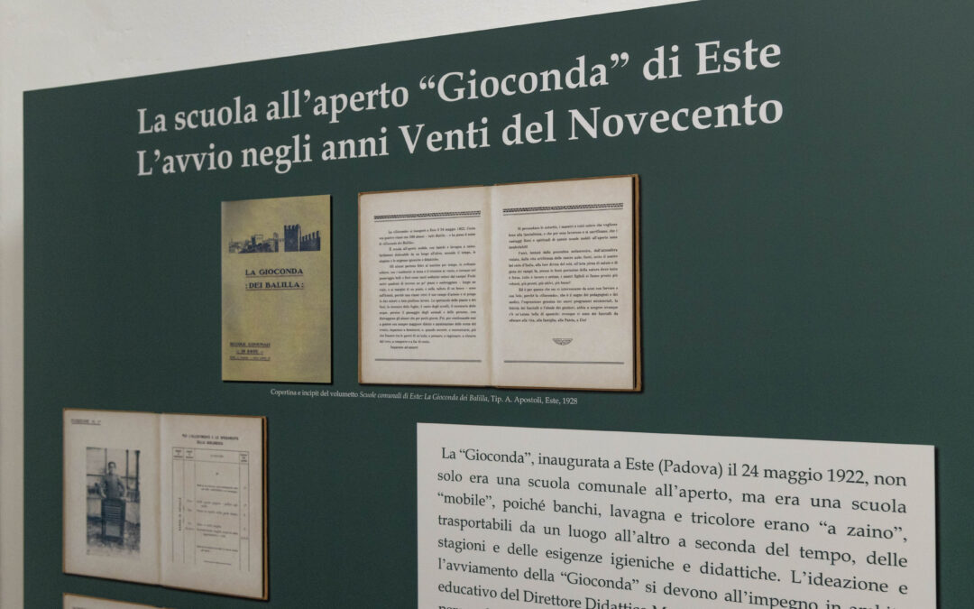 Our exhibitions